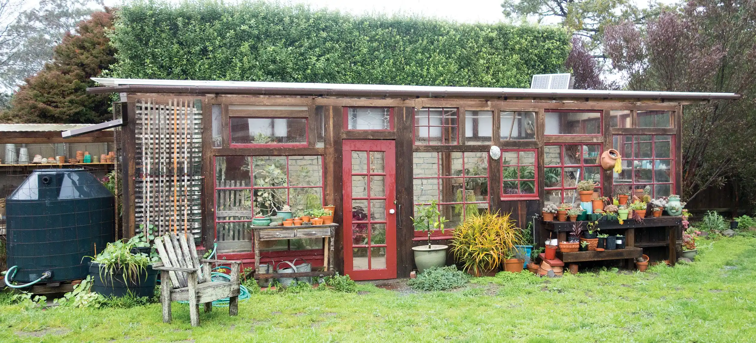Indoor Garden or Greenhouse