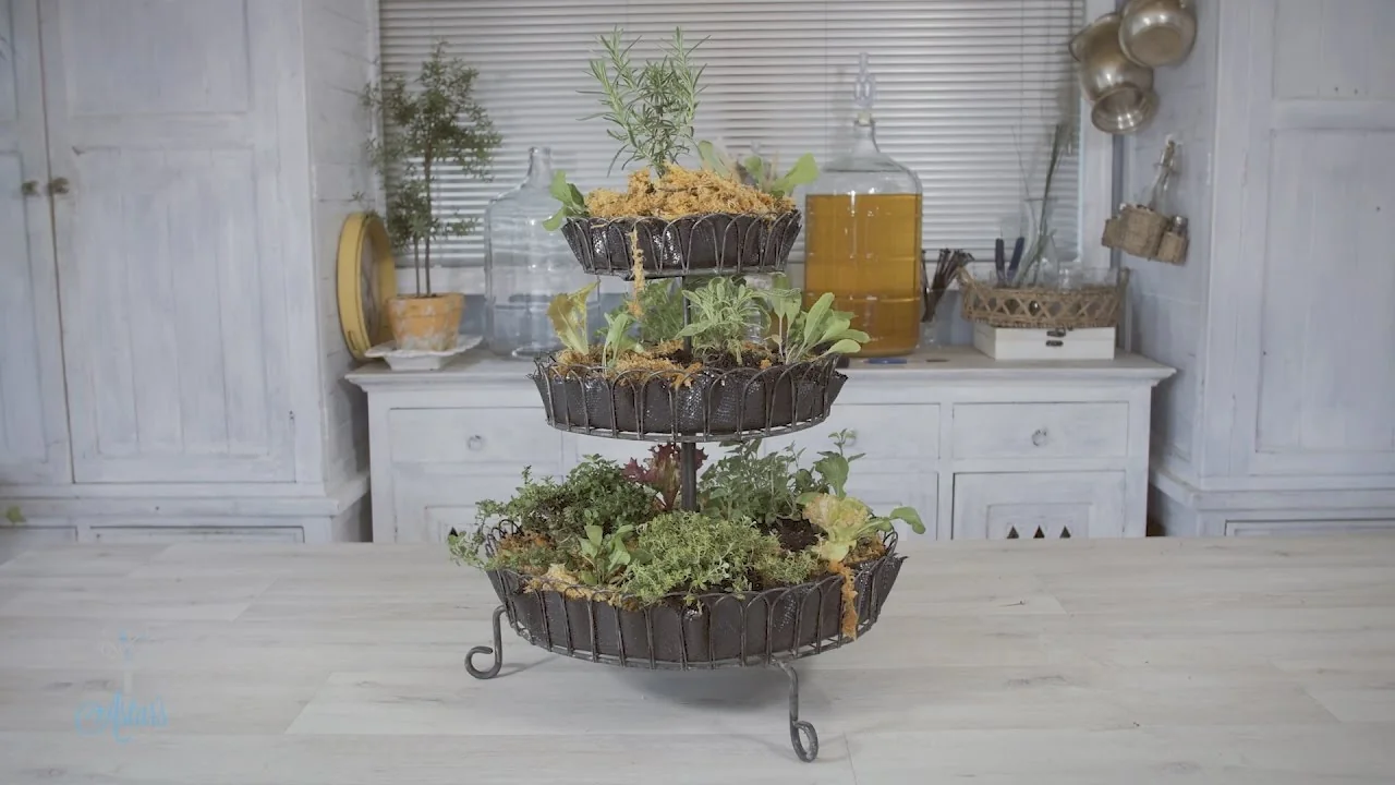 Decorate with Fresh Plants or Herbs
