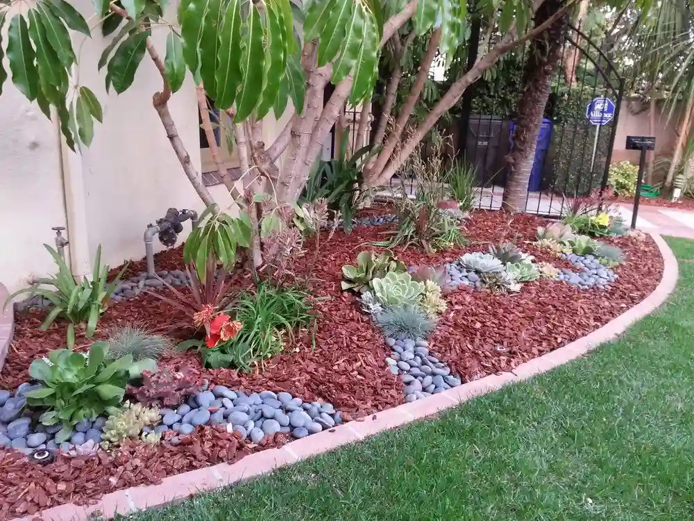 Low-Maintenance Succulent Garden