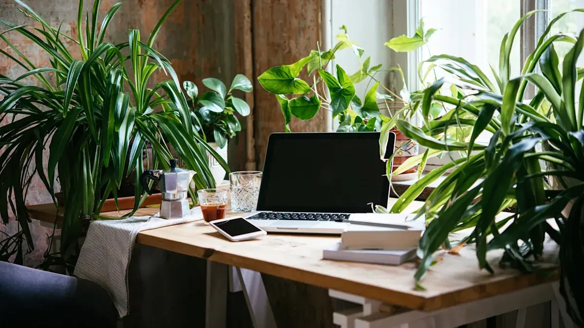 Add Indoor Plants for Freshness
