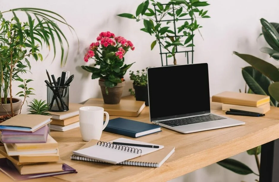 Add Greenery for a Fresh Study Environment