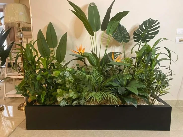 Indoor Plants for a Fresh Coastal Vibe
