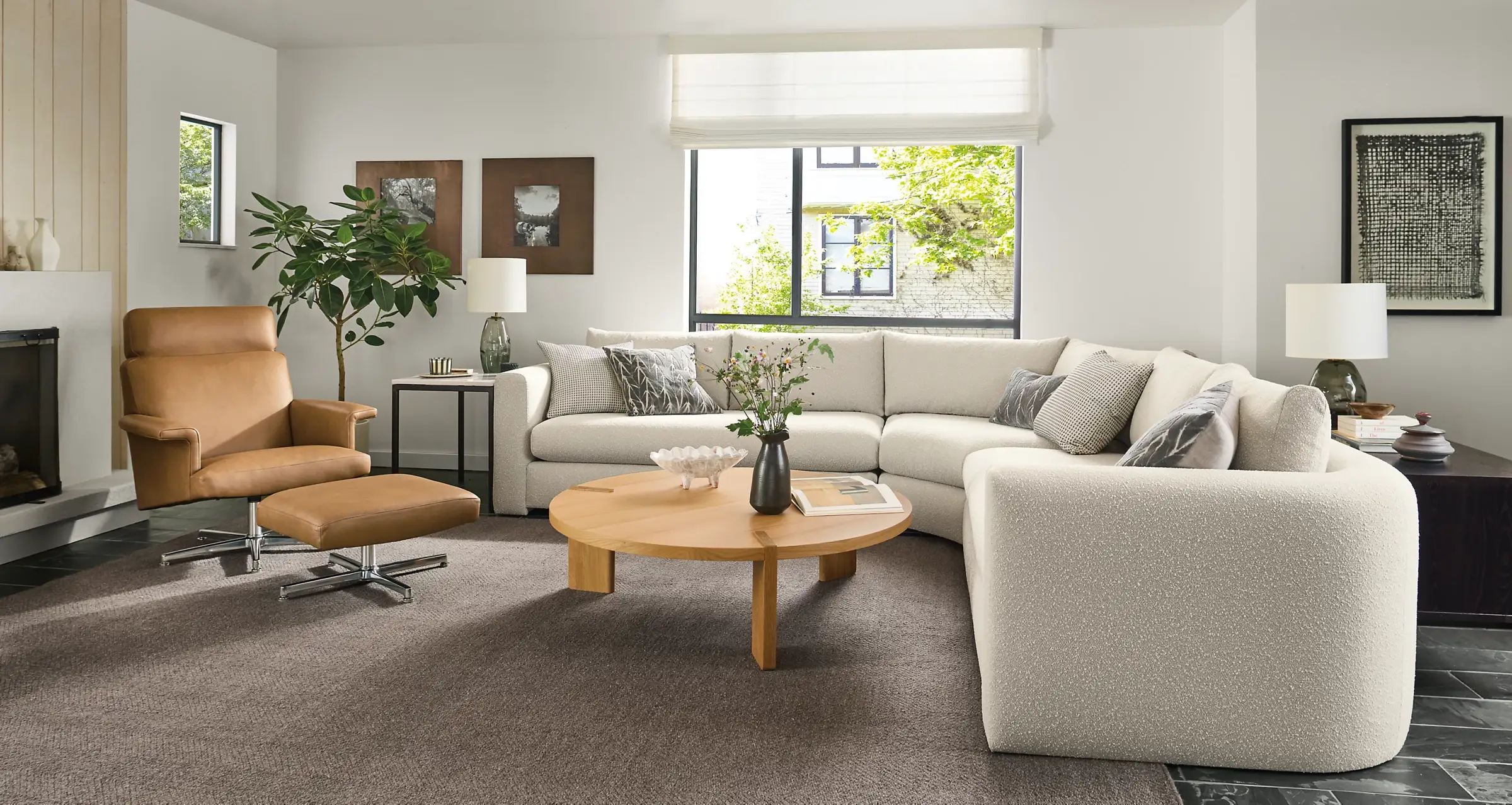 Introduce Organic Shapes and Curves