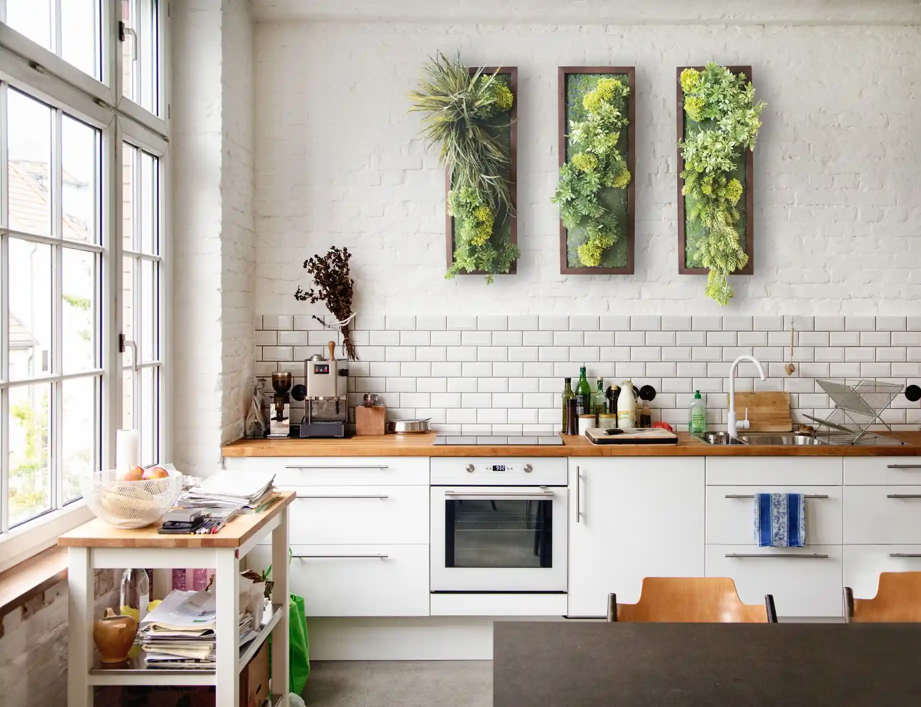 Kitchen Herb Plant Wall