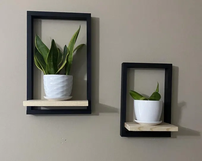 Modern Frame Plant Wall