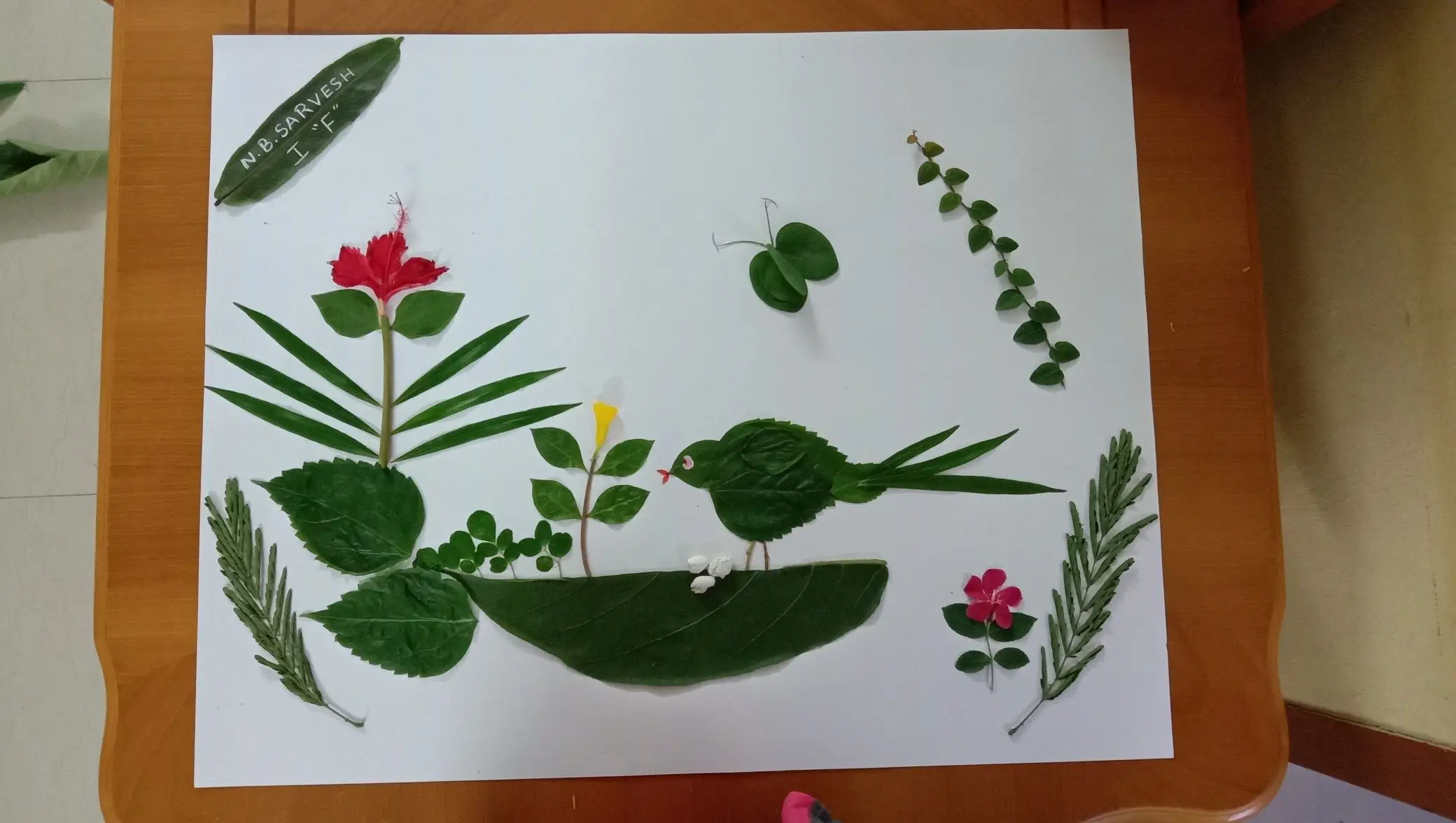 Nature Collage Masterpieces