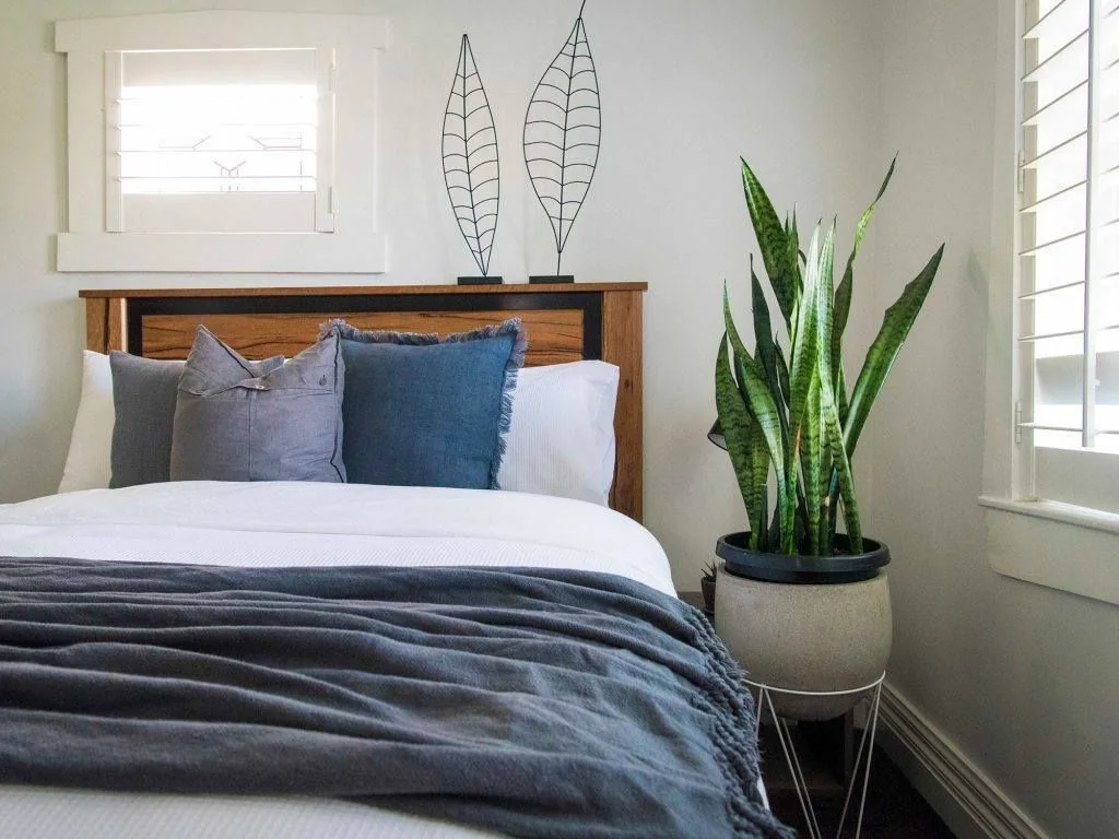 The Bedroom Calm Green Corner