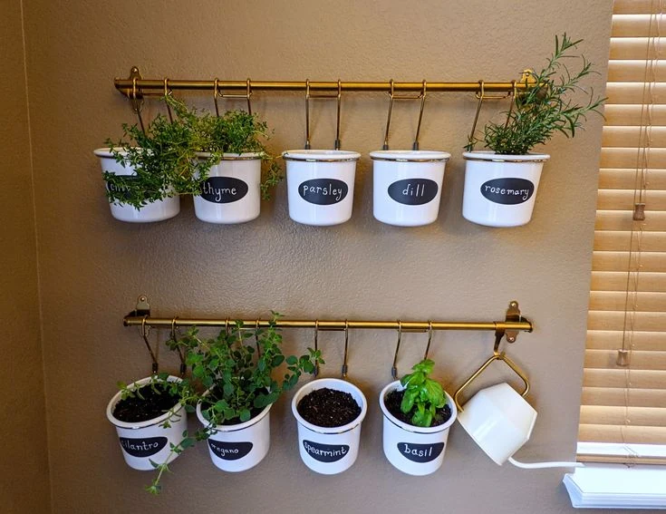 The Indoor Hanging Garden Corner