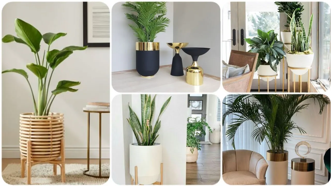 The Living Room Plant Statement Corner