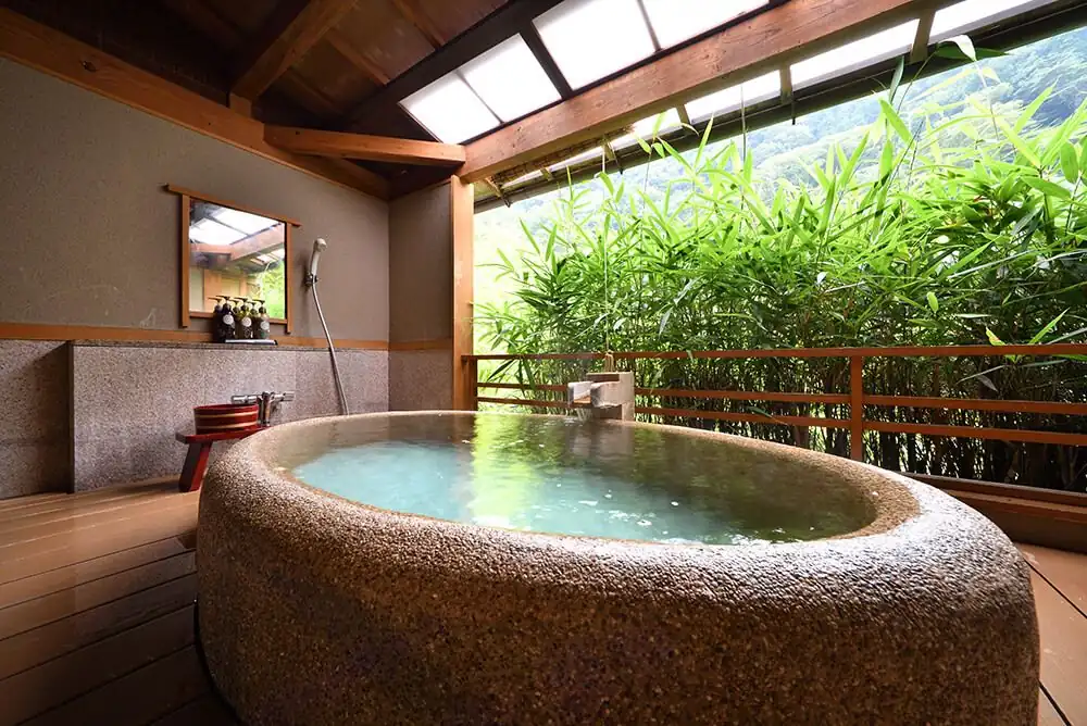 Ultimate Wellness Bathroom Retreat