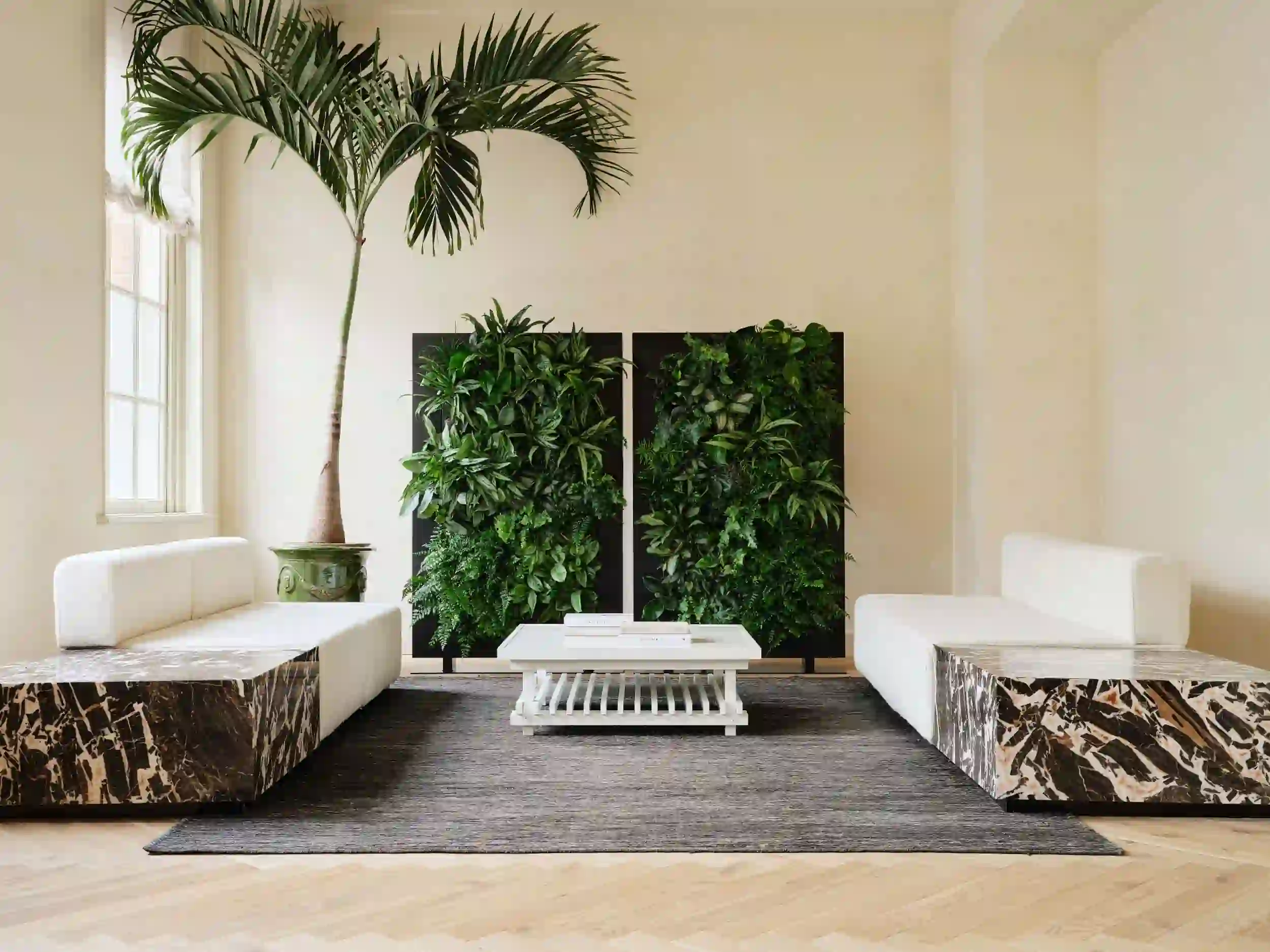 White Walls with Green Plants for a Fresh Look