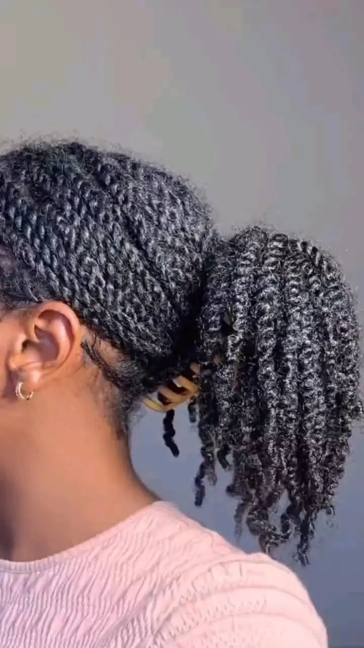 Claw Clip Twist