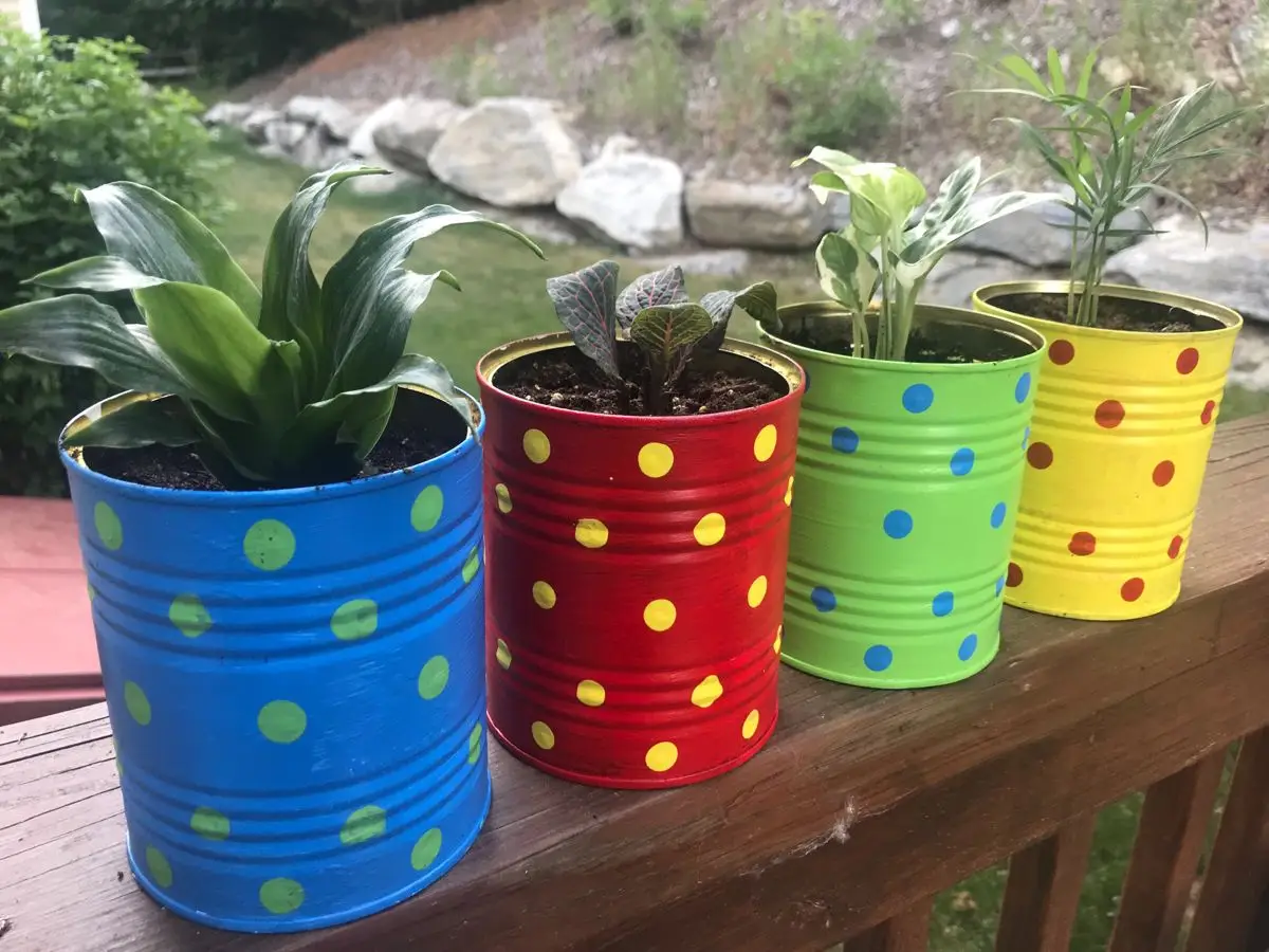 Tin Can Herb Garden