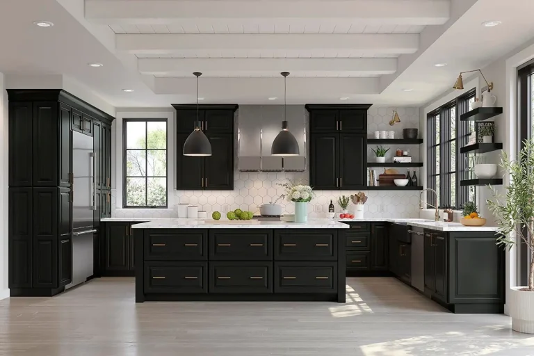 Black Kitchen Cabinent Ideas